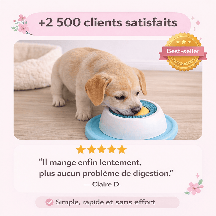 Bol à lécher polyvalent pour chien et chat. Jouet d'alimentation lente, distributeur de friandises apaisant et anti-anxiété.