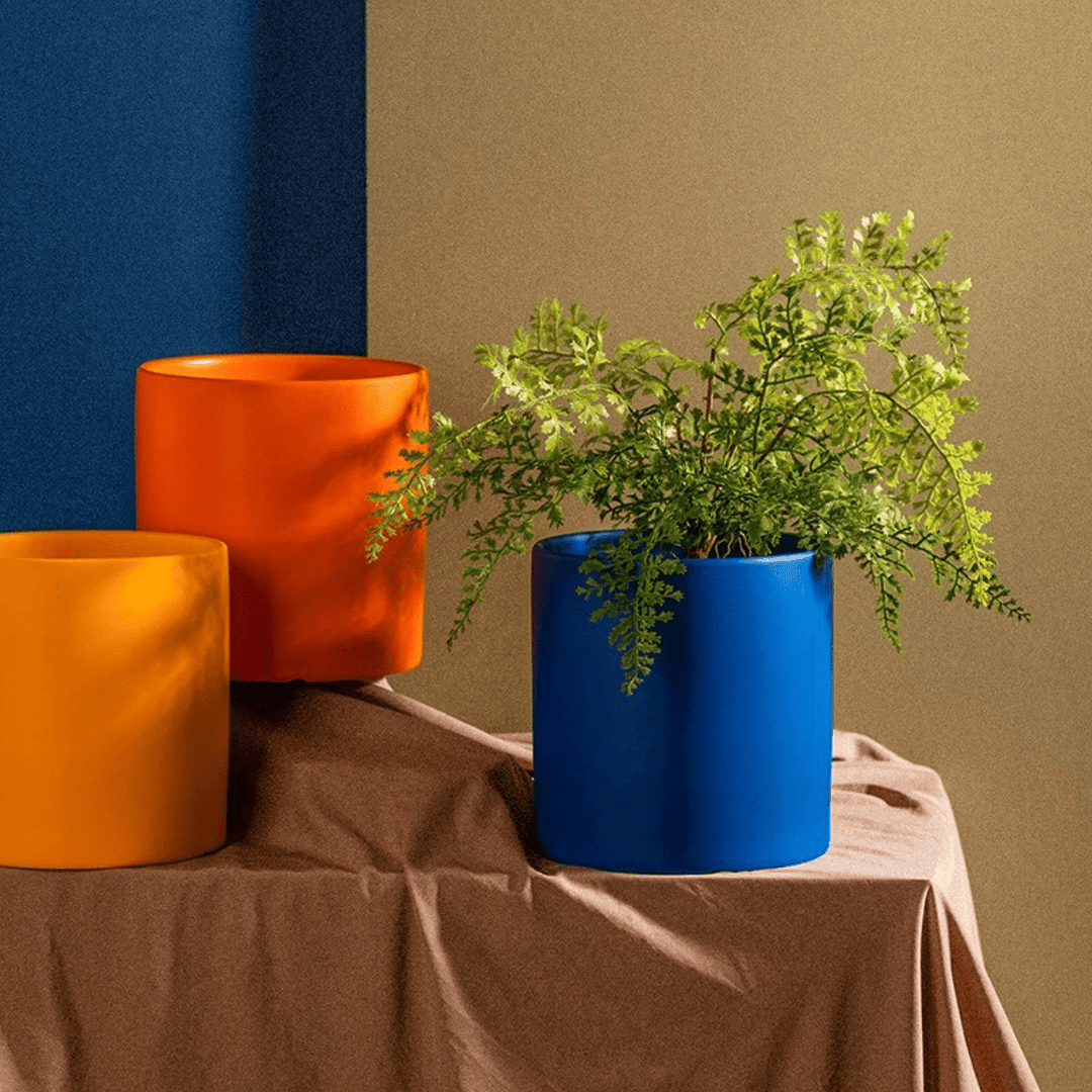 Pot de fleurs d'intérieur moderne, parfait pour le jardinage urbain, avec soucoupe élégante.