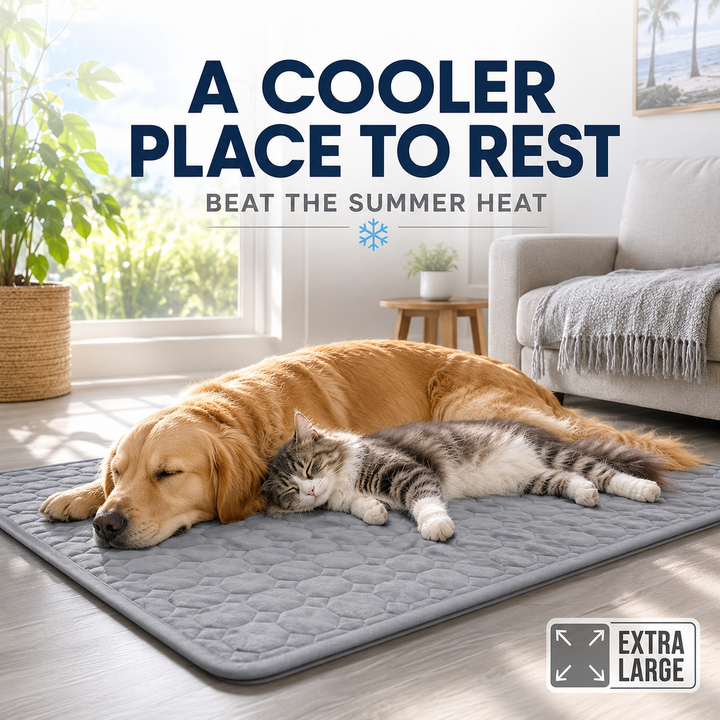 Tapis frais pour chat, support de repos rafraîchissant et portable, parfait pour l'été.