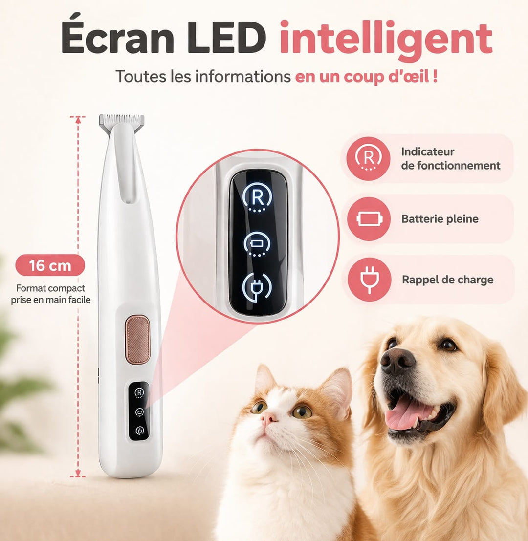 Tondeuse ergonomique sans fil pour chien et chat, légère et pratique pour hygiène animale.