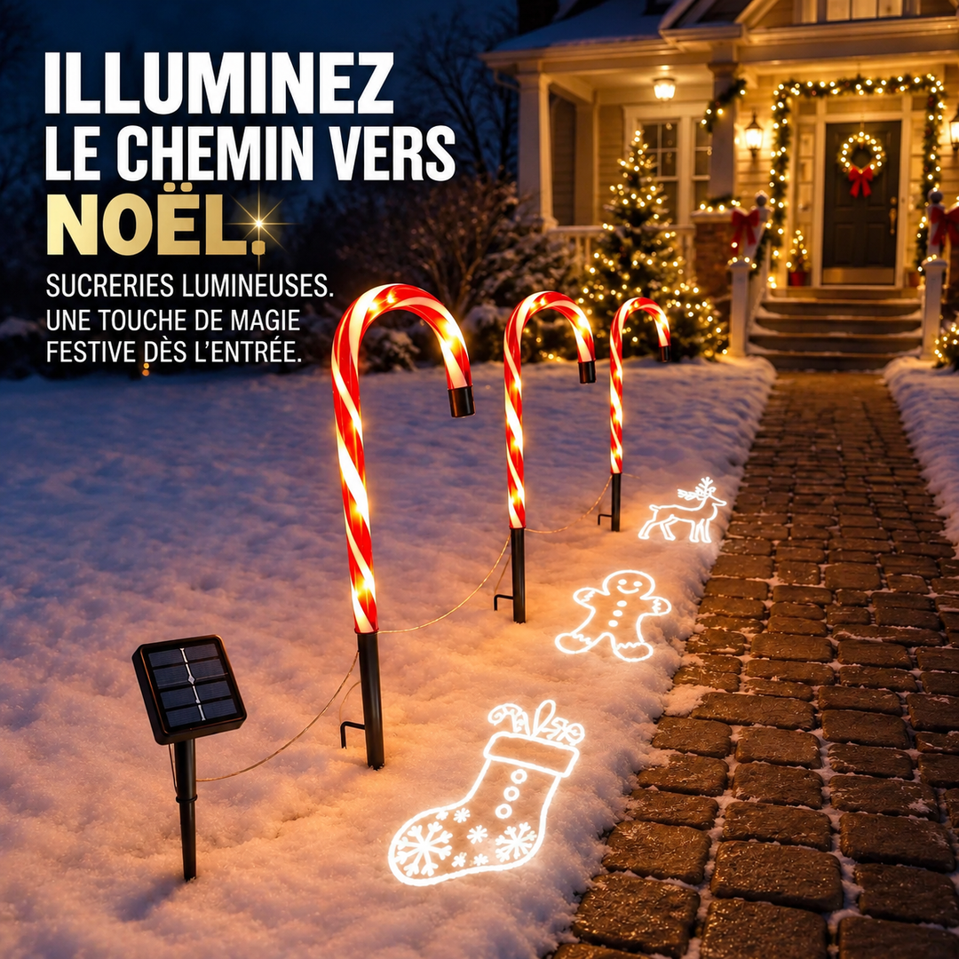 Projecteur solaire Canne Sucre LED pour allée, éclairage extérieur de Noël. Décoration jardin festive.