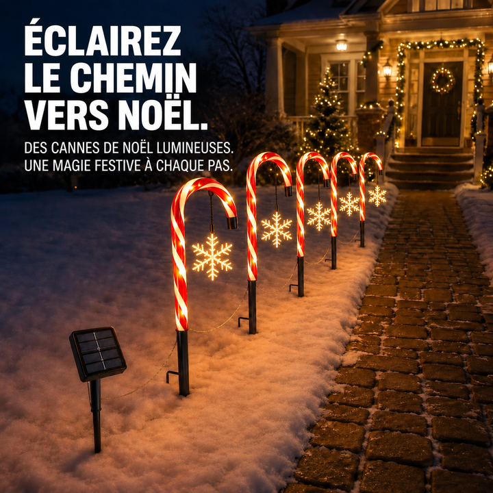 Projecteur solaire Canne Sucre autonome. Luminaire extérieur de Noël pour une ambiance festive durable.