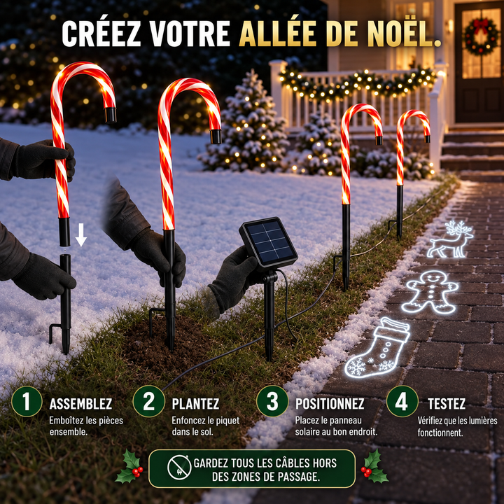 Piquet solaire Canne Sucre, installation facile. Éclairage de Noël extérieur pour décorer le jardin.