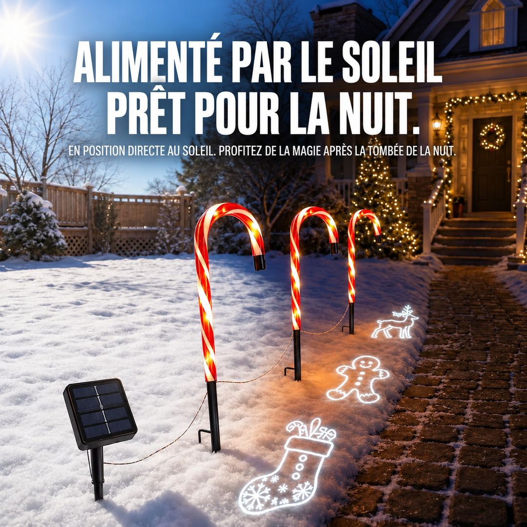 Décoration de Noël Canne Sucre à piquet solaire. Éclairage extérieur pour une ambiance festive et magique.
