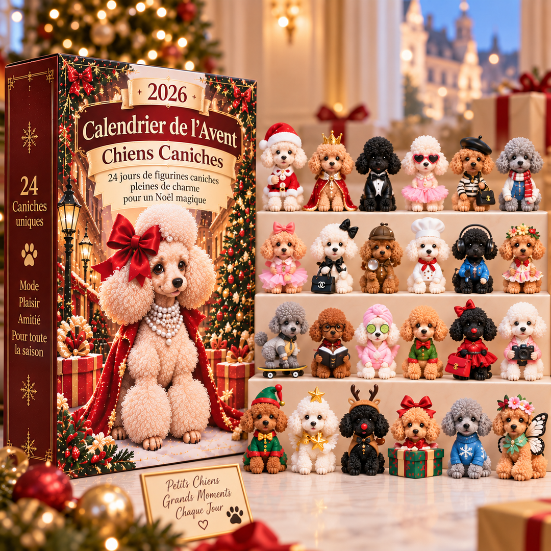 Calendrier de l'Avent Caniche 2026 festif, bordeaux et or. Décoration Noël parfaite avec 24 surprises.