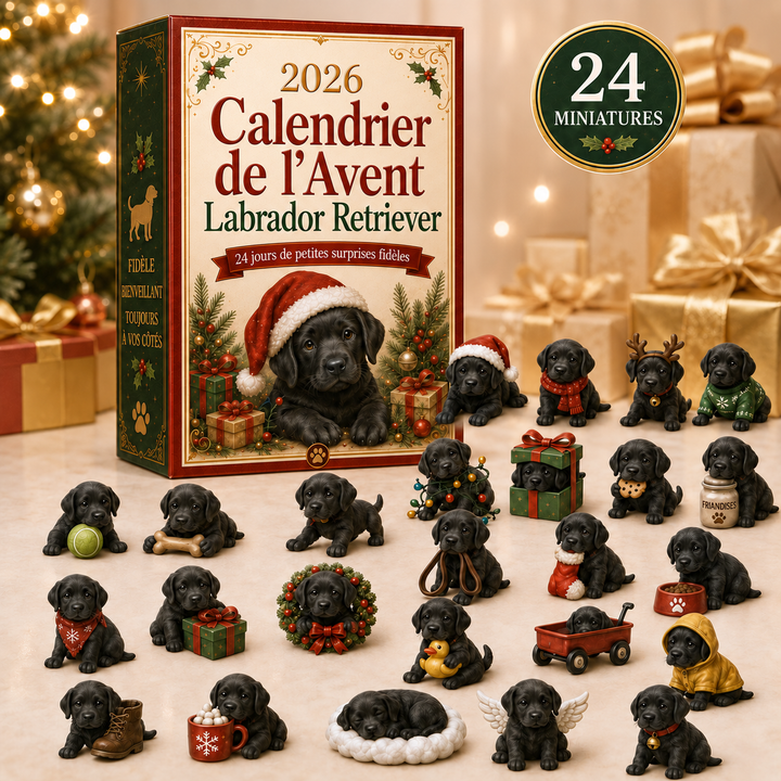 Calendrier de l'Avent animaux Labrador 2026, décoration festive pour l'automne et l'hiver de Noël.