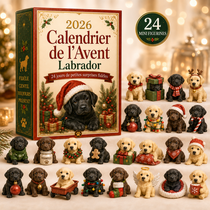 Compte à rebours de Noël avec 24 surprises, calendrier de l'Avent familial Labrador, décoration joyeuse.