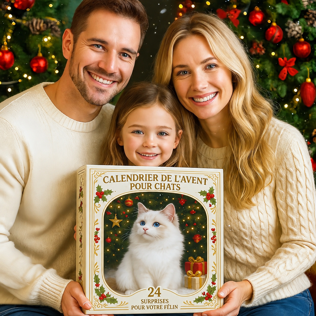 Calendrier de l'Avent pour amoureux des chats avec 24 figurines félines uniques. Idée cadeau Noël.