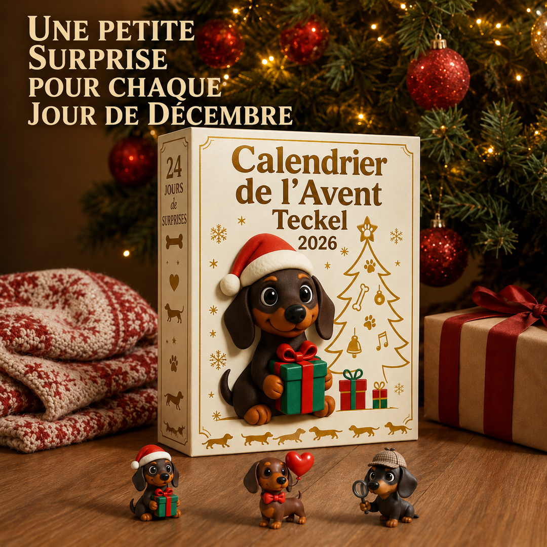 Calendrier de l'Avent Dackel 2026 avec 24 surprises adorables. Décoration de Noël festive et cadeau unique pour amant de teckel.