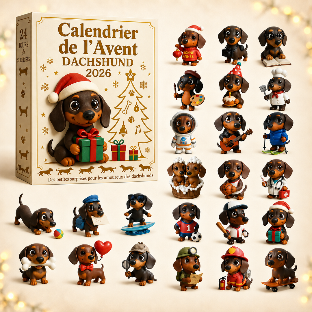 Calendrier de l'Avent Dackel 2026 avec 24 surprises. Décoration de Noël festive, cadeau idéal pour les amoureux de teckels.