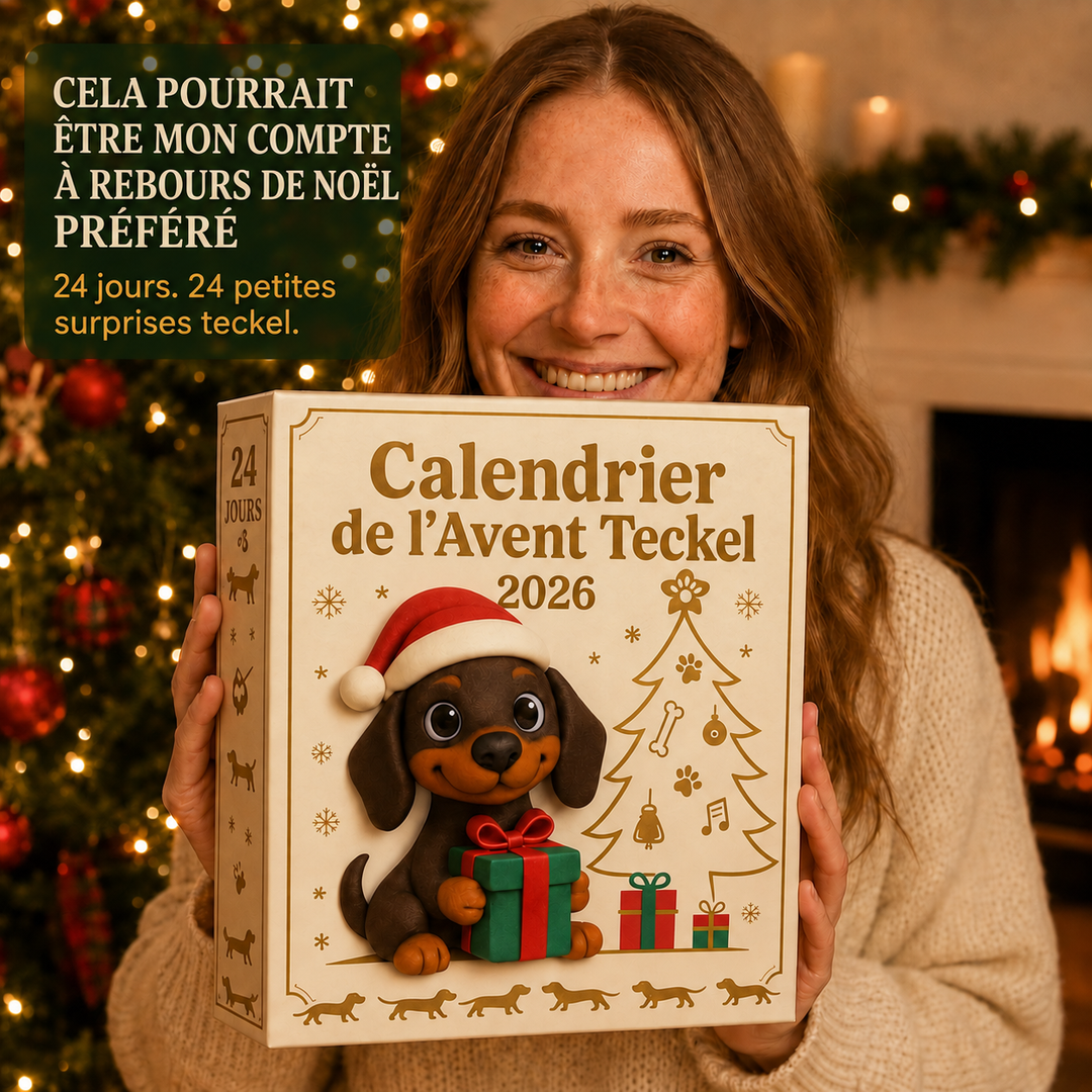 Découvrez 24 figurines teckel adorables dans le Calendrier Avent Dackel 2026. Collection et cadeau de Noël unique.