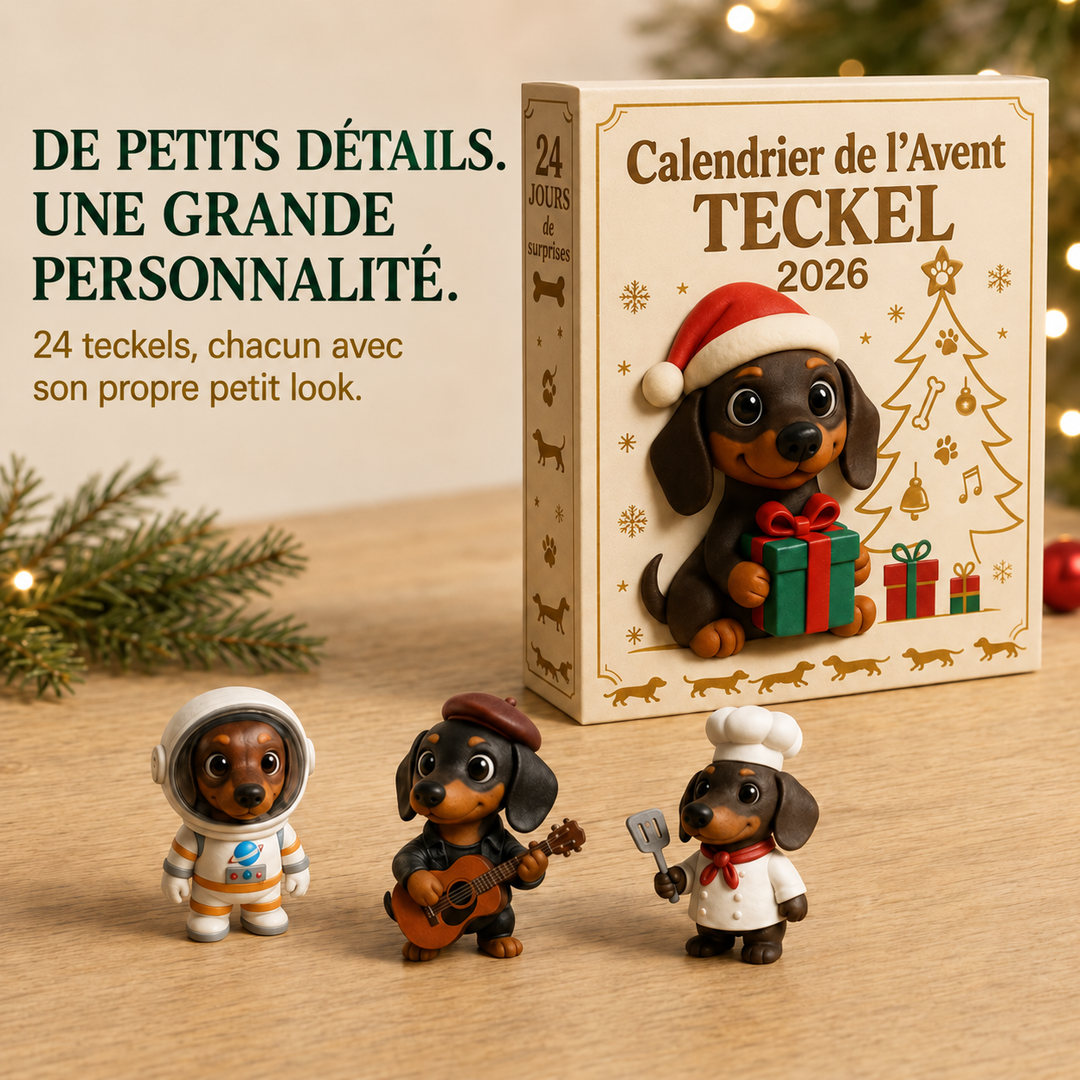 Cadeau de Noël parfait: Calendrier de l'Avent Dackel 2026. 24 surprises adorables pour décorer et célébrer les fêtes.