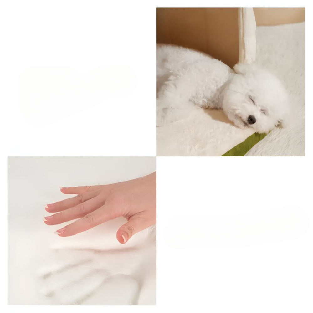 Grotte douillette pour chien vert, offrant sécurité et réduction du stress, lavable en machine facilement.