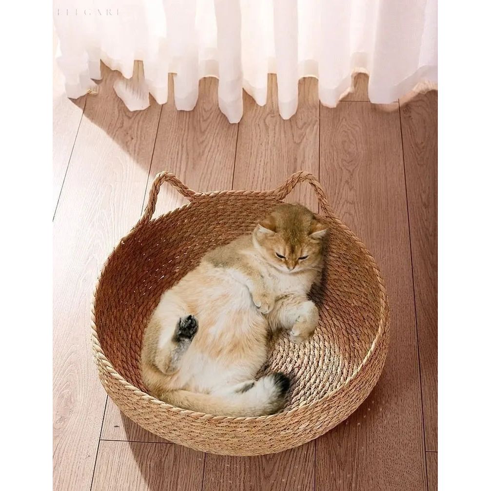 Lit orthopédique pour chat, conception moelleuse avec soutien articulaire, parfait pour tous les félins.