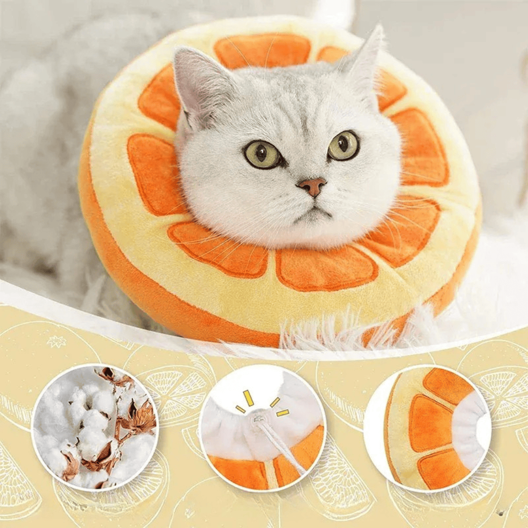 Collerette de récupération confortable anti-léchage pour chat et petit animal, en coton doux, réglable.