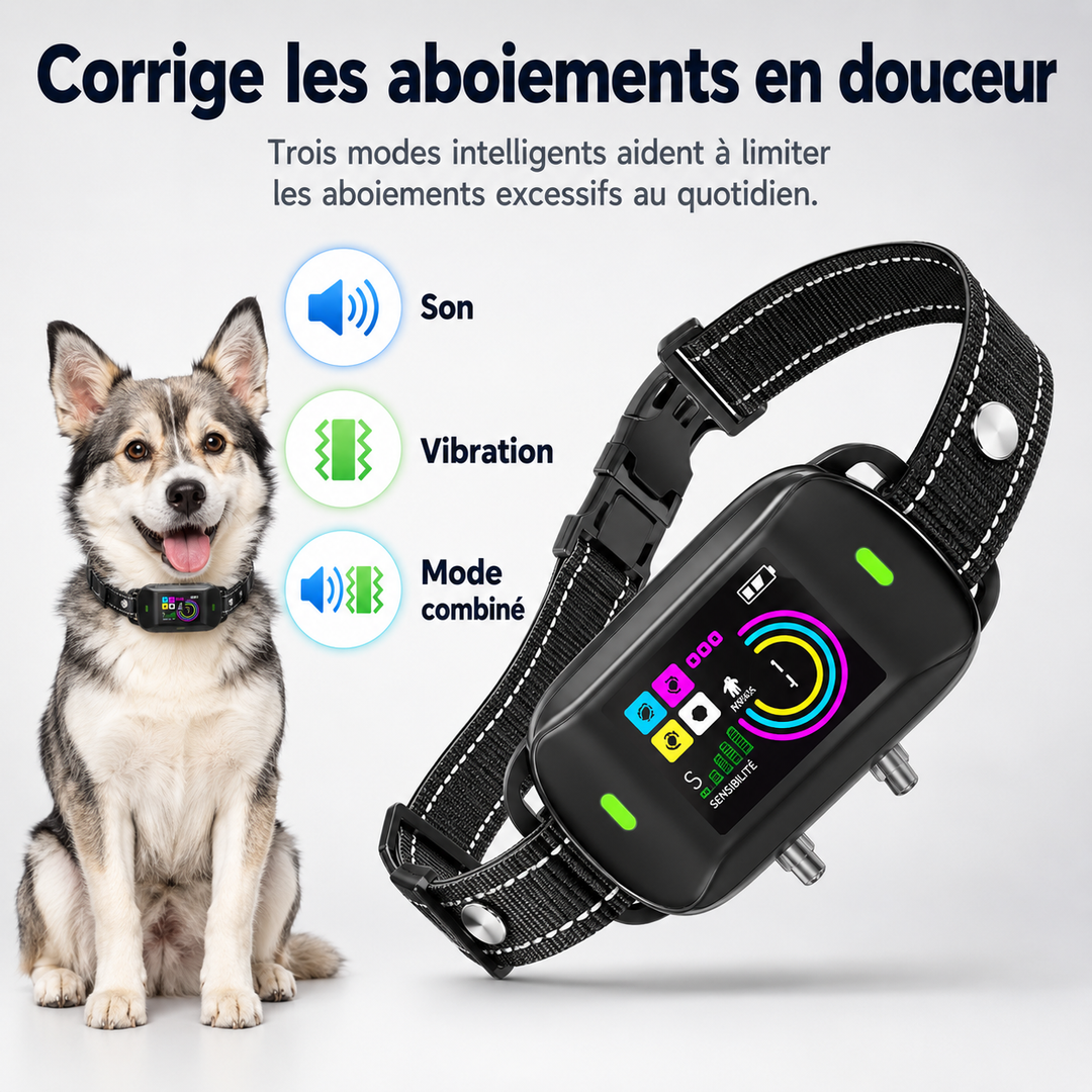Collier anti-aboiement numérique pour dressage chien, technologie pour calmer les aboiements excessifs.