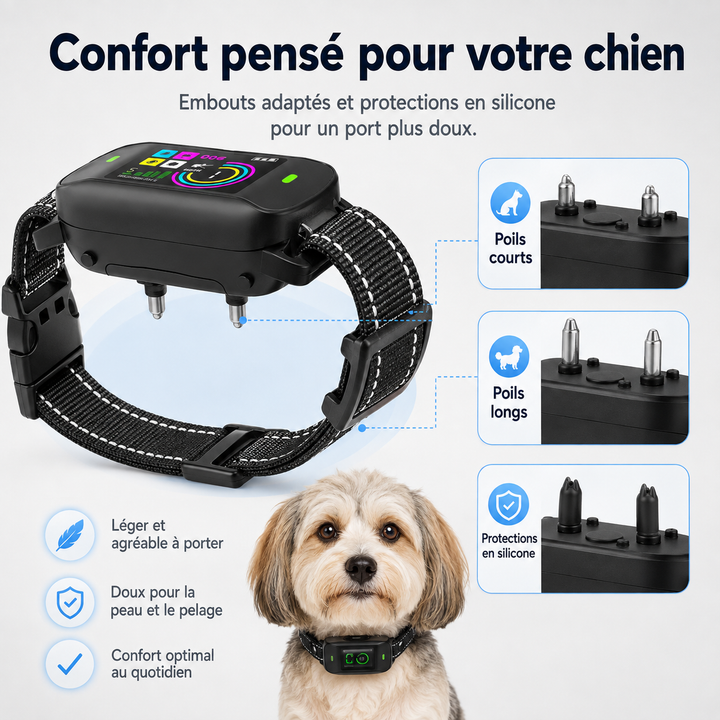 Chien calme portant un collier anti-aboiement numérique, accessoire d'éducation canine positive et efficace.