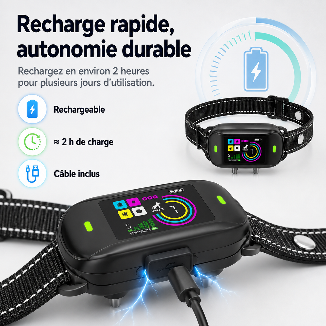 Accessoire chien : collier anti-aboiement numérique, favorisant un chien calme et réduisant les aboiements.