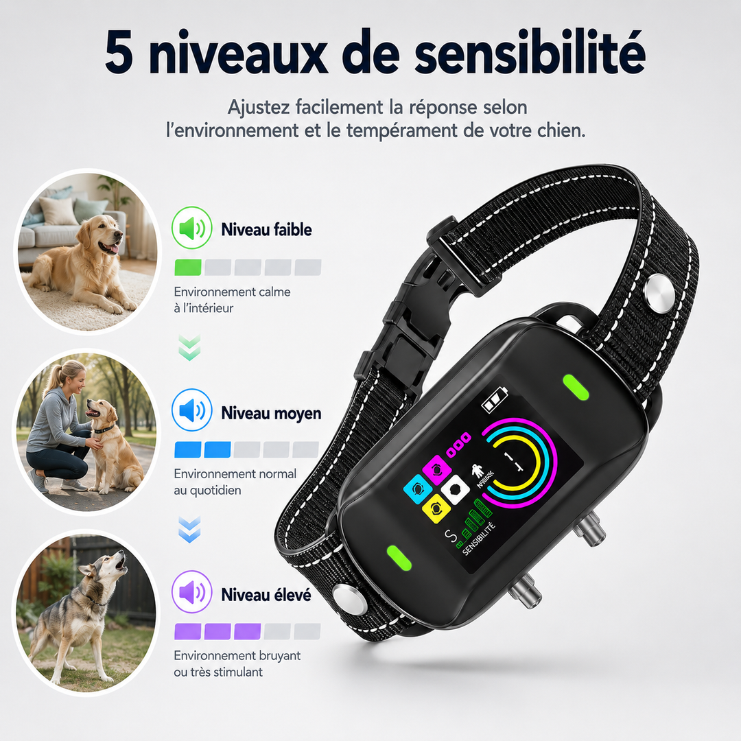 Technologie numérique du collier anti-aboiement pour éducation canine et solution aux aboiements excessifs.