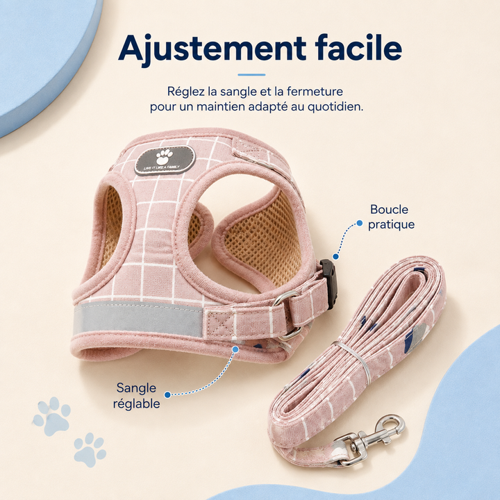 Ensemble harnais et laisse pour chat, offrant sécurité et liberté lors des balades extérieures.