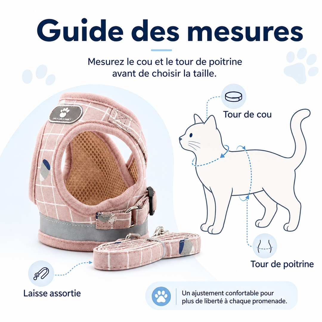Harnais de sécurité pour chat avec bandes réfléchissantes, assure visibilité et sécurité en promenade.