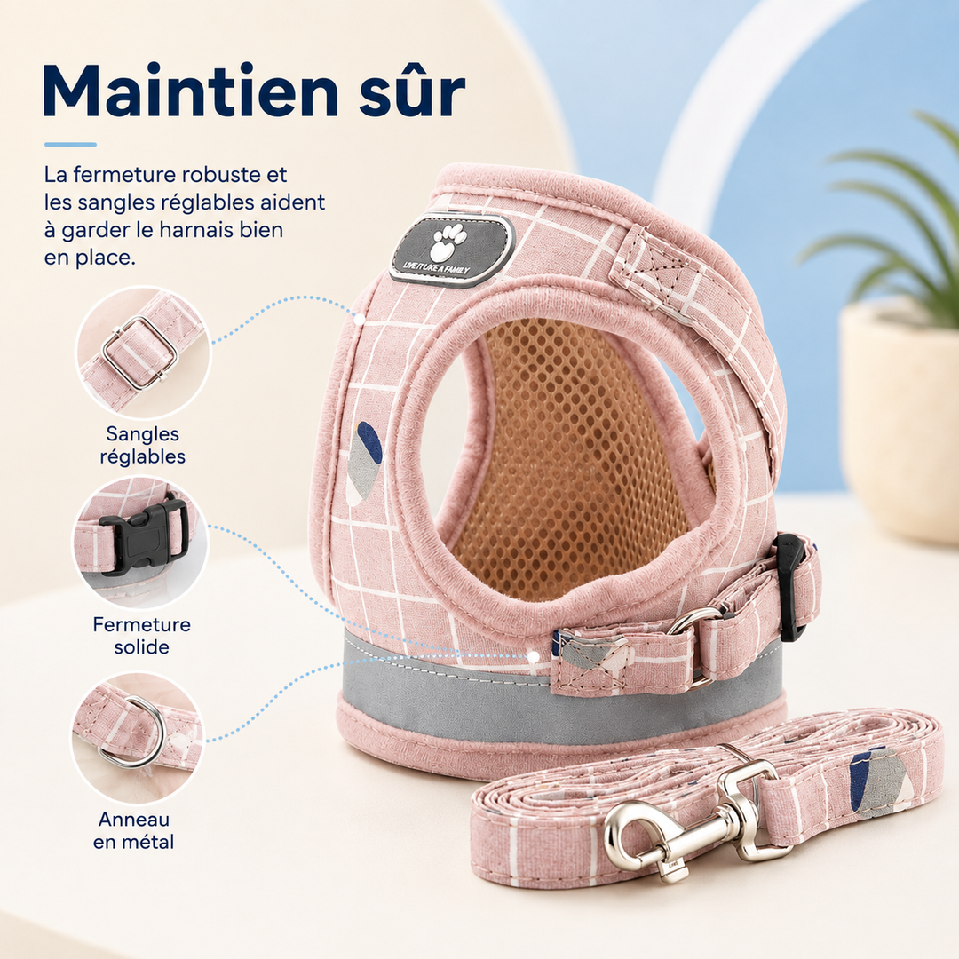 Un chat porte son harnais réglable, prêt pour une promenade sécurisée et confortable en extérieur.