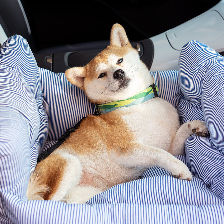 Accessoire de voyage indispensable : coussin chien voiture avec housse lavable.