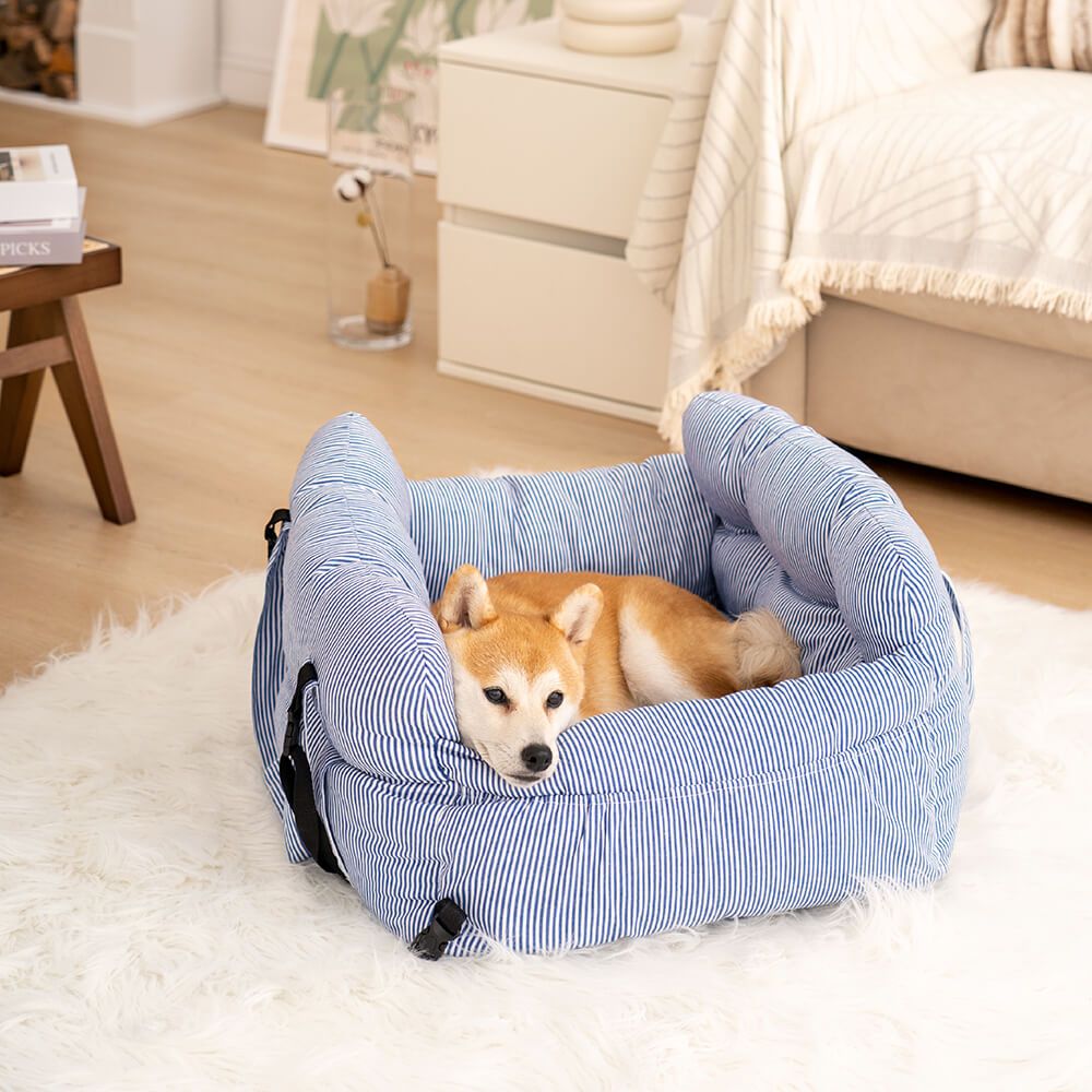 Siège auto lavable et résistant pour chien. Sécurité et bien-être assurés.
