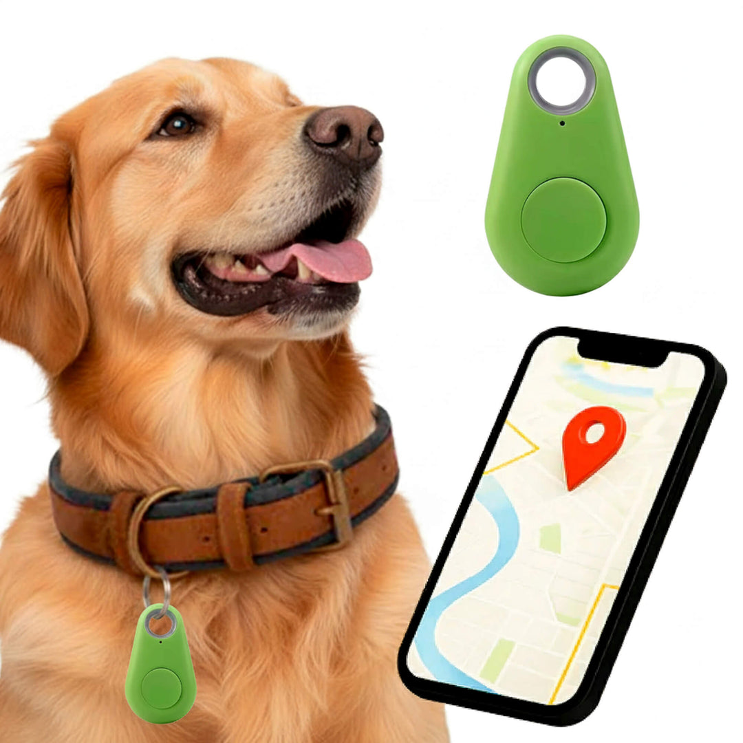 Accessoire de sécurité : traceur GPS pour chiens, étanche, idéal pour l'extérieur.