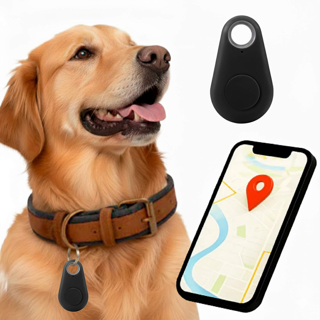 Traceur GPS étanche pour chien, localisation en temps réel, sécurité anti-perte.