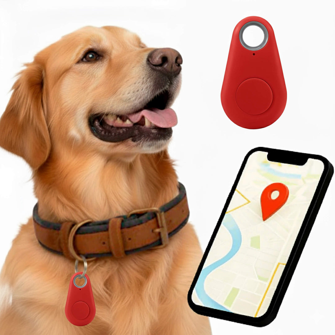 Traceur GPS étanche pour chien, suivi sans abonnement, sécurité pour vos animaux.