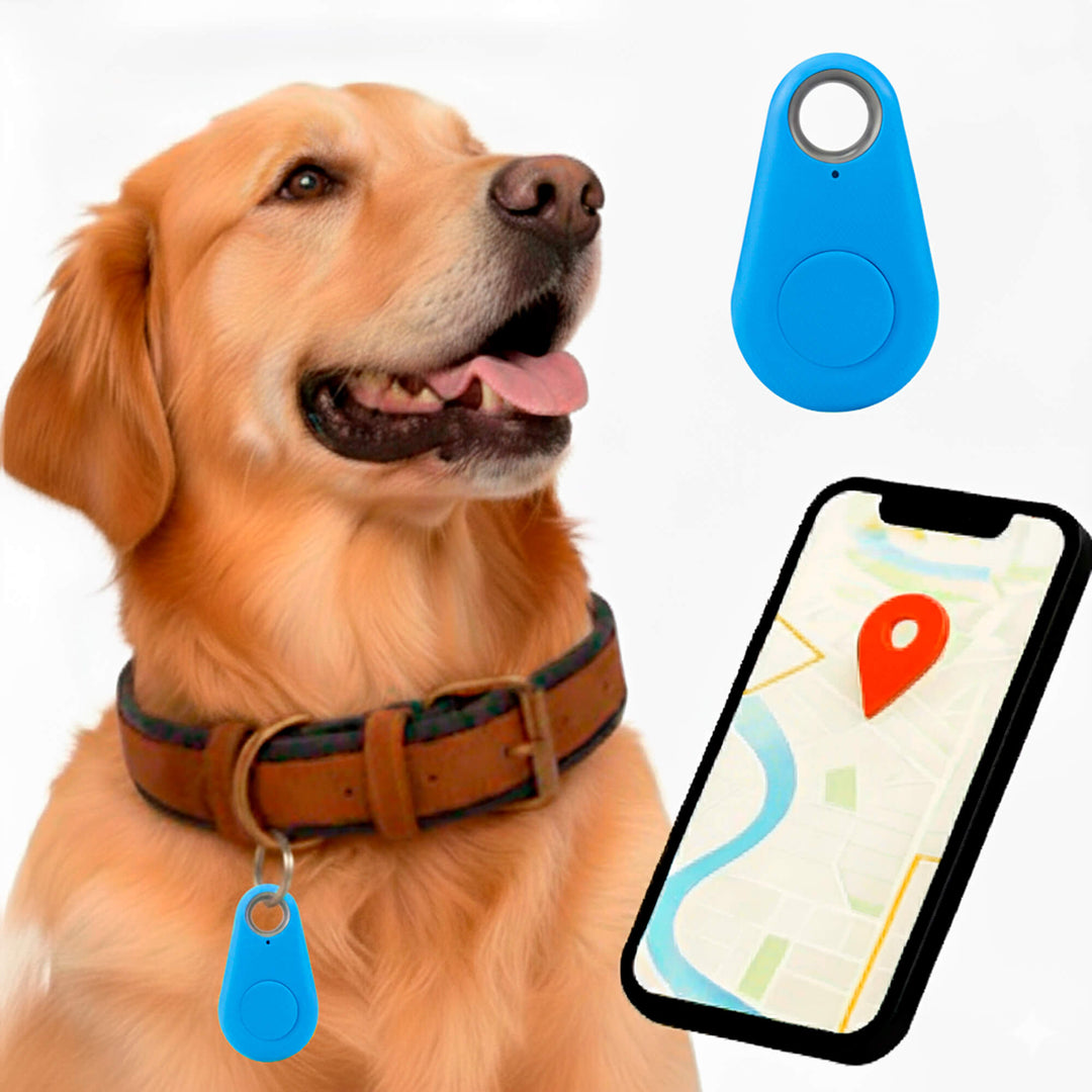 Localisateur GPS léger pour chien, étanche, parfait pour l'aventure en extérieur.