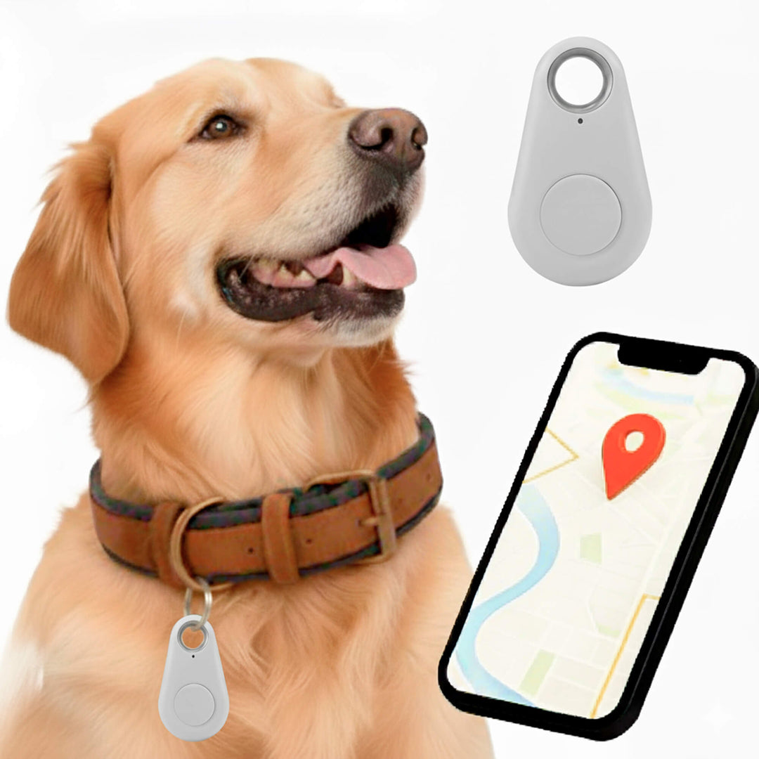 Traceur GPS sans abonnement pour chien, étanche, sécurise vos animaux de compagnie.