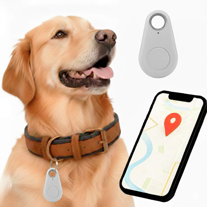 Traceur GPS sans abonnement pour chien, étanche, sécurise vos animaux de compagnie.
