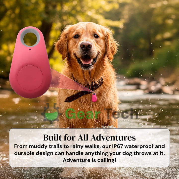 Traceur GPS pour animaux, léger et étanche, localisation précise pour chiens aventureux.