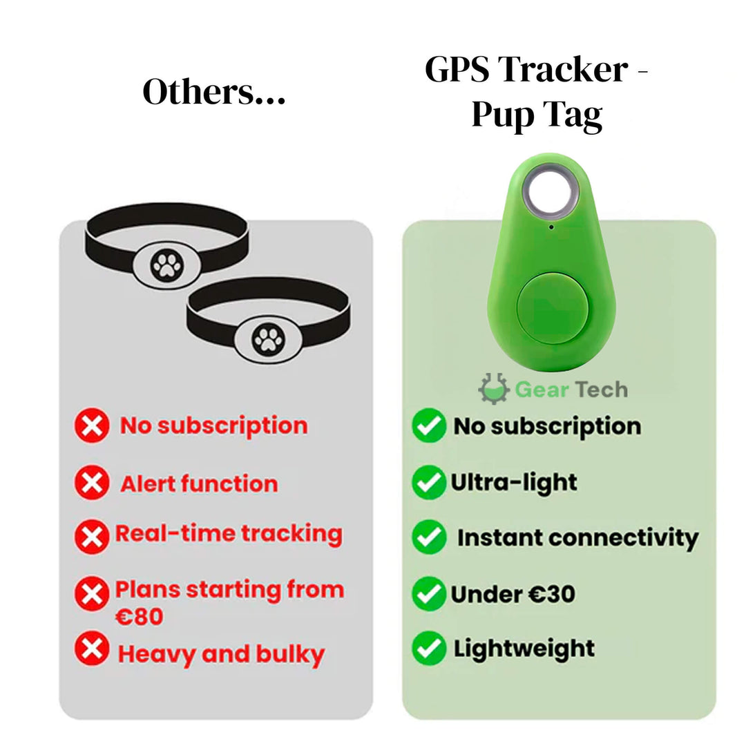 Sécurité chien : traceur GPS sans abonnement, étanche, suivi constant pour l'extérieur.