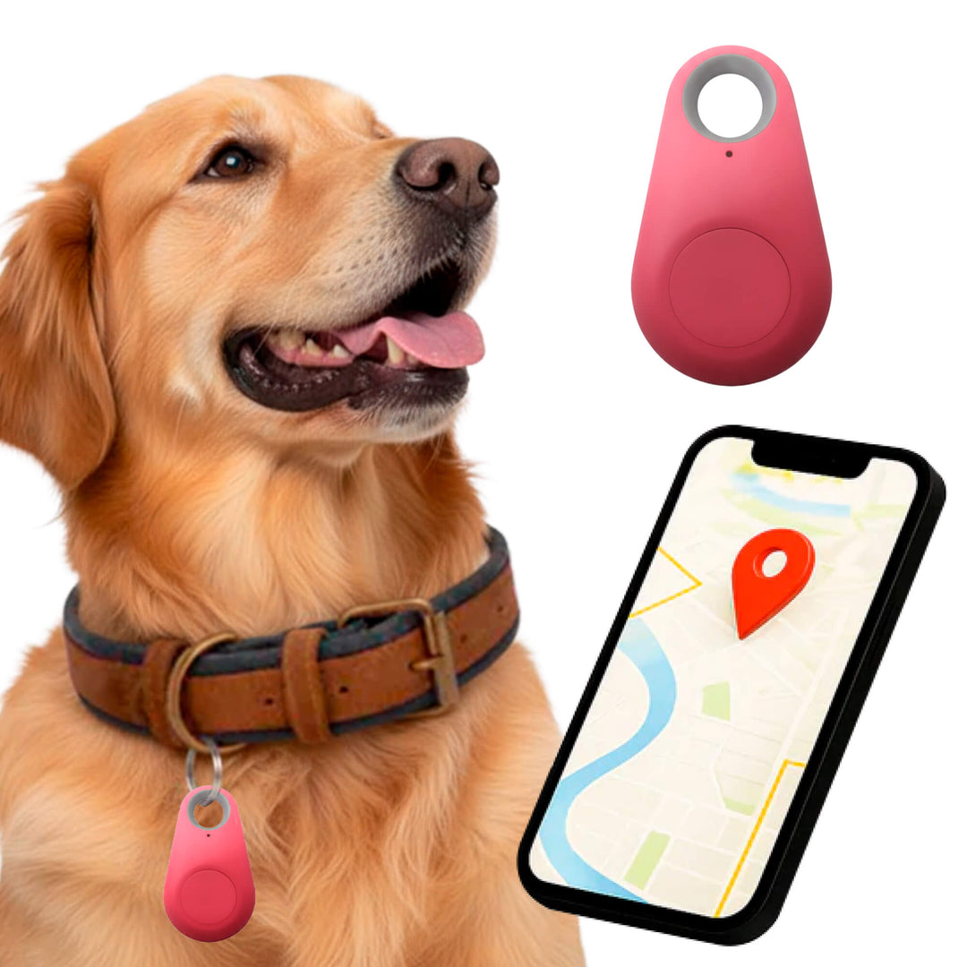 Suivi pour chien : traceur GPS étanche compatible Find My, sécurité fiable.