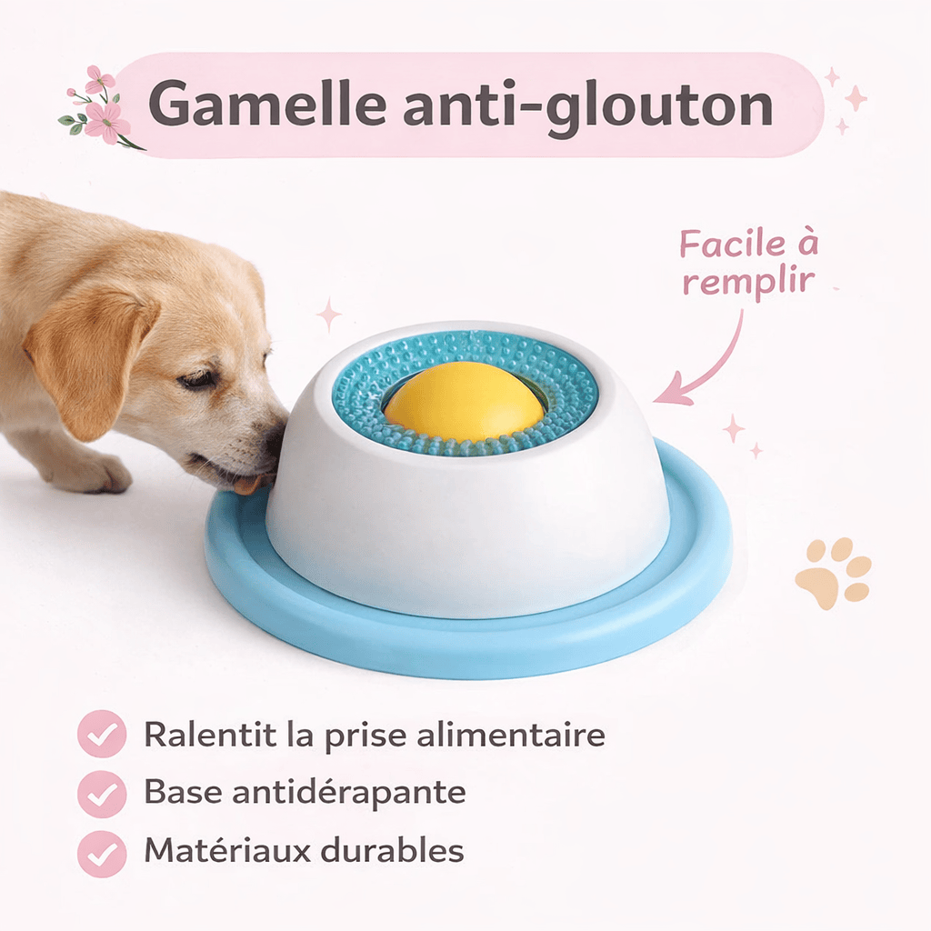 Bol à lécher apaisant en silicone pour chien et chat. Réduit l'anxiété, favorise l'alimentation lente et le bien-être animal.