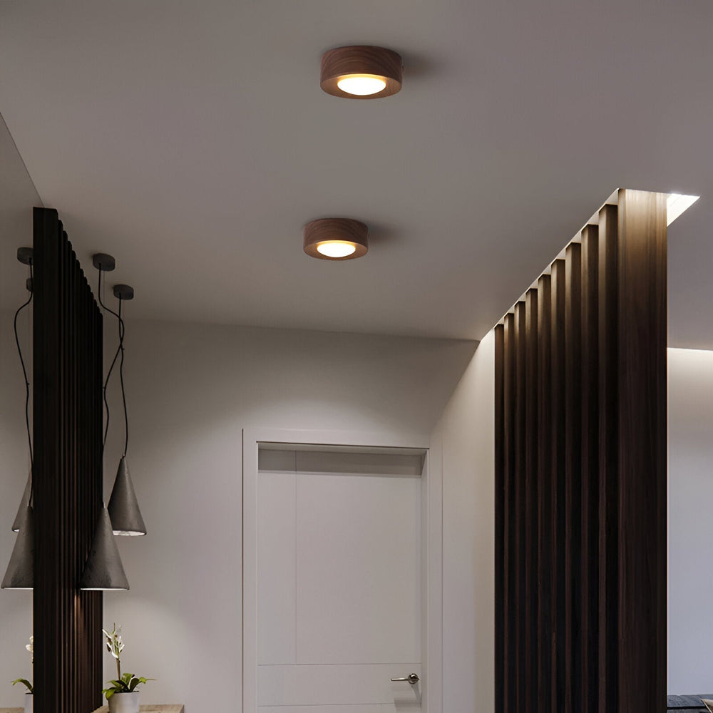 Luminaire de plafond LED design, idéal pour une ambiance moderne et économe en énergie.