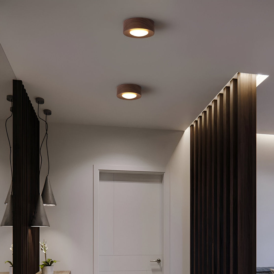 Luminaire de plafond LED design, idéal pour une ambiance moderne et économe en énergie.