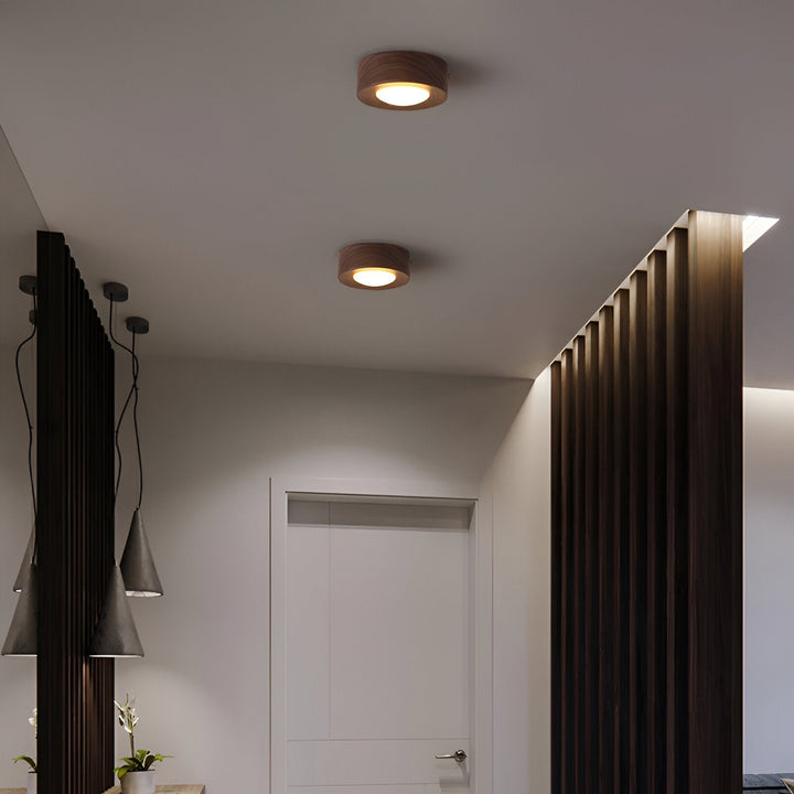Luminaire de plafond LED design, idéal pour une ambiance moderne et économe en énergie.