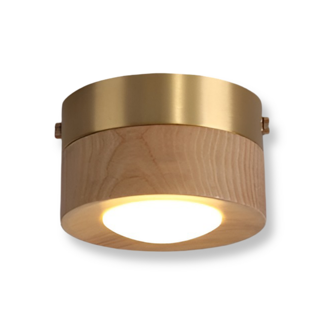 Éclairage de plafond LED moderne, améliorant l'ambiance et la décoration de votre maison.