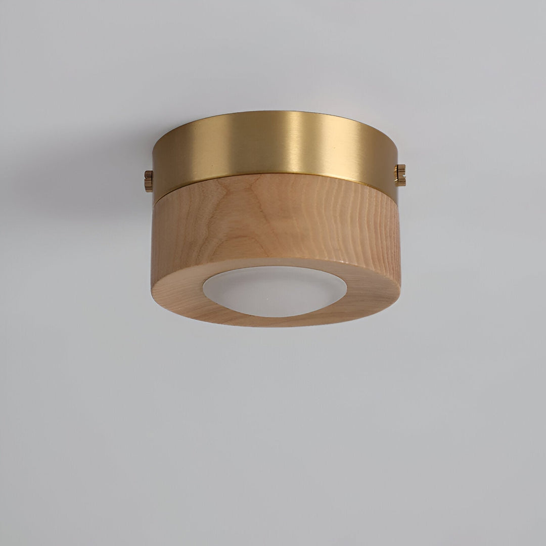 Lampe de plafond design avec technologie LED, un ajout élégant à toute décoration intérieure.