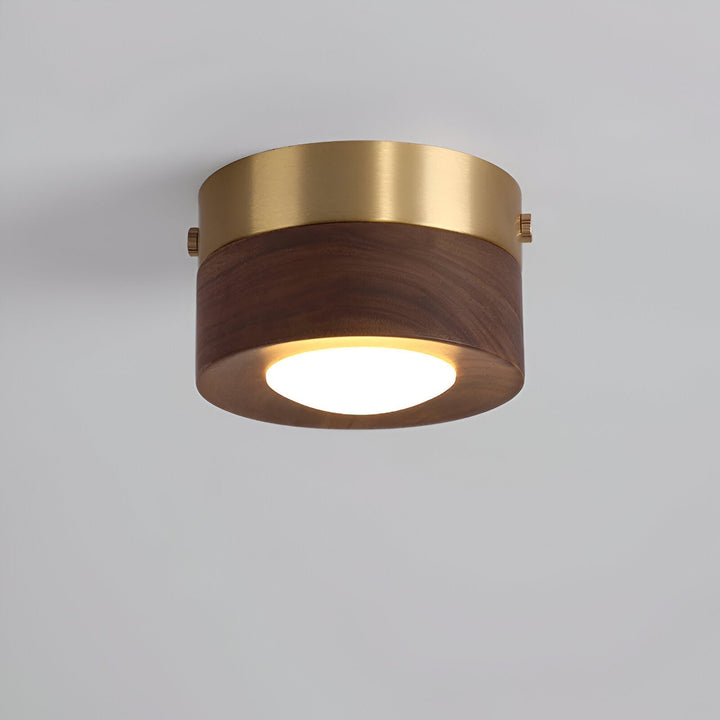 Éclairage LED de plafond élégant, met en valeur votre intérieur avec un design moderne.