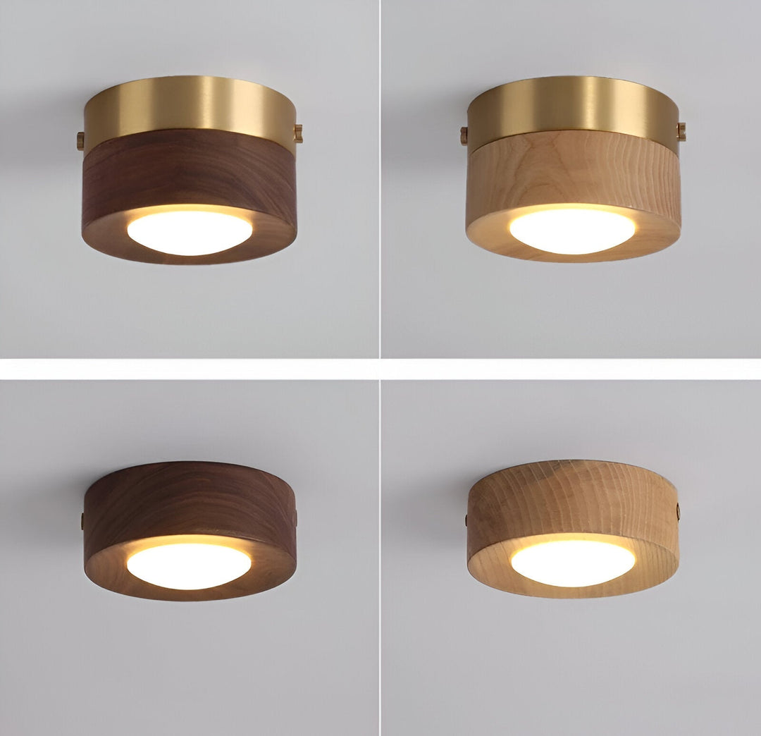 Spot de plafond LED, économie d'énergie, pour un éclairage directionnel et moderne.