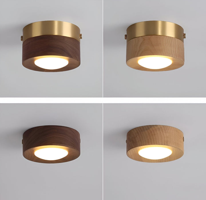Spot de plafond LED, économie d'énergie, pour un éclairage directionnel et moderne.