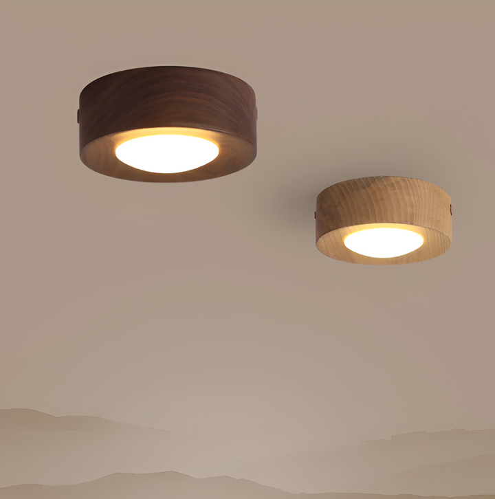Plafonnier LED moderne et élégant avec spots orientables pour un éclairage intérieur optimal.