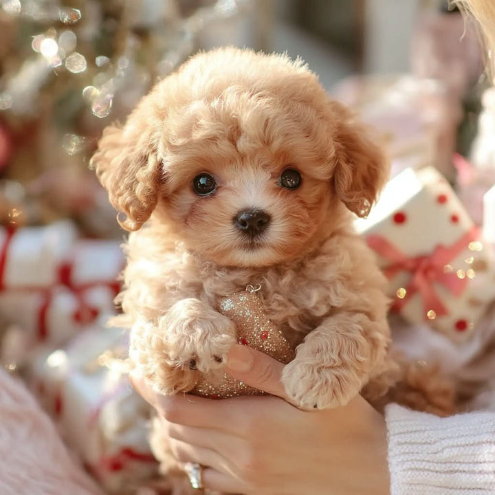 Chien en peluche doux, interactif, parfait cadeau d'anniversaire pour enfant.