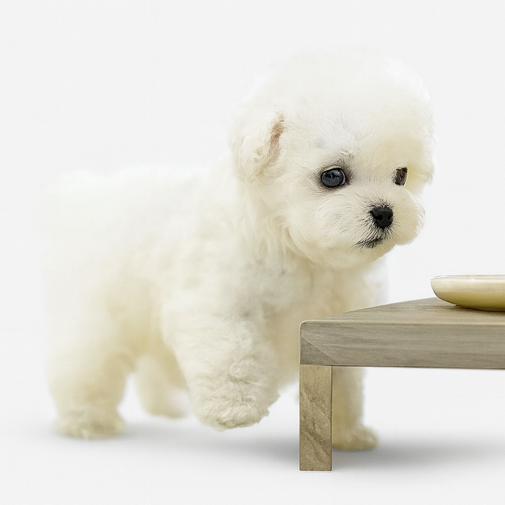 Gros plan sur le visage réaliste d'un chiot interactif marron, peluche douce et expressive.