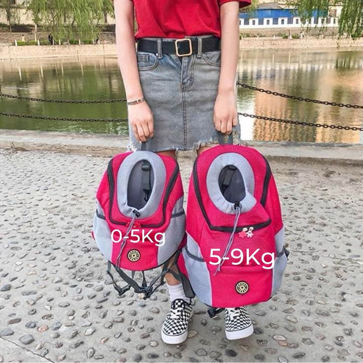 Sac à dos chien vide, design moderne, couleur neutre, prêt pour le transport et le voyage.